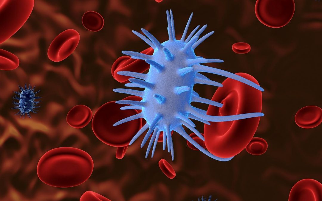 Curso de Extensão em Biologia Molecular Aplicada a Doenças Transmissíveis pelo Sangue e Outros Fluidos Corporais.Saiba Mais.